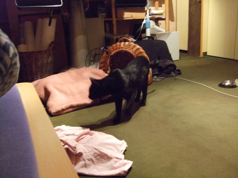 Ostern 2007 Orleshausen 001 